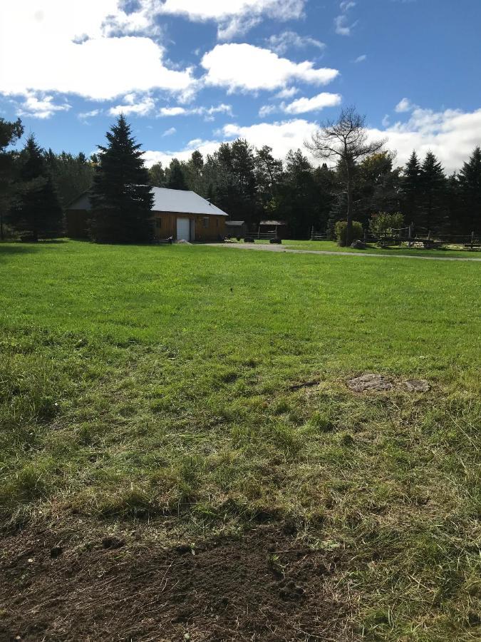 Dreamers Writing Farm, 3 Wooded Acres, Hepworth Sauble Beach Exteriör bild