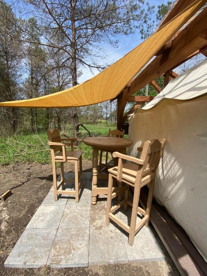 Dreamers Writing Farm, 3 Wooded Acres, Hepworth Sauble Beach Exteriör bild