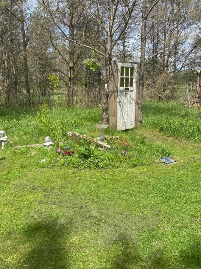 Dreamers Writing Farm, 3 Wooded Acres, Hepworth Sauble Beach Exteriör bild