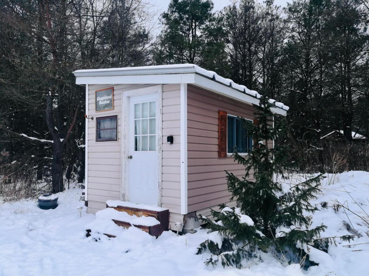Dreamers Writing Farm, 3 Wooded Acres, Hepworth Sauble Beach Exteriör bild
