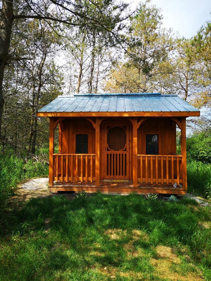 Dreamers Writing Farm, 3 Wooded Acres, Hepworth Sauble Beach Exteriör bild