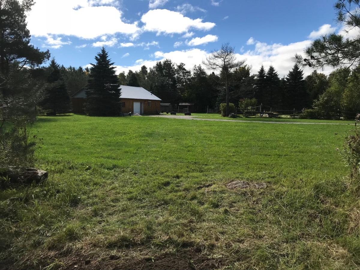 Dreamers Writing Farm, 3 Wooded Acres, Hepworth Sauble Beach Exteriör bild