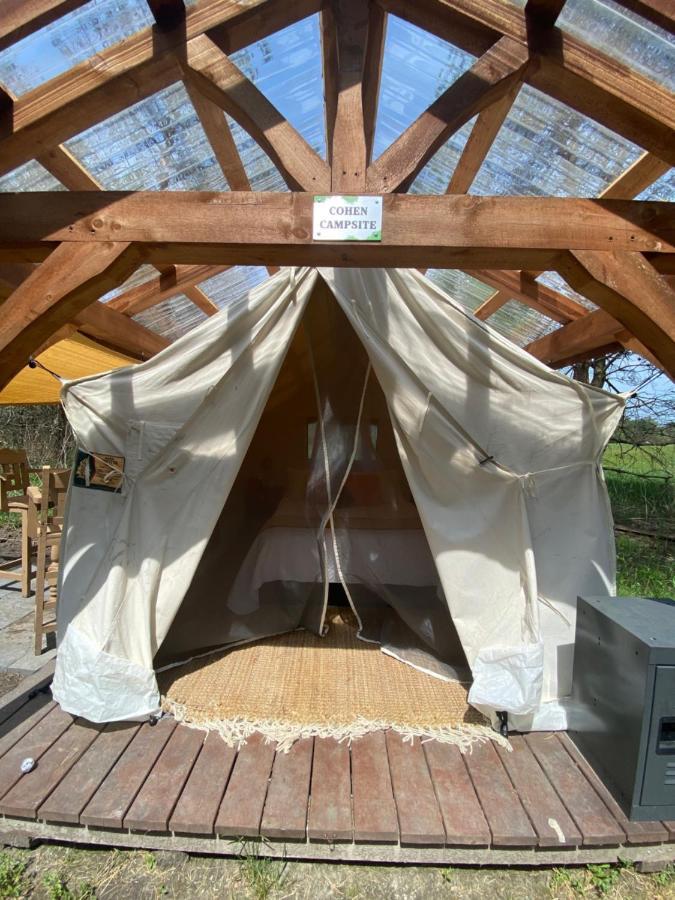 Dreamers Writing Farm, 3 Wooded Acres, Hepworth Sauble Beach Exteriör bild