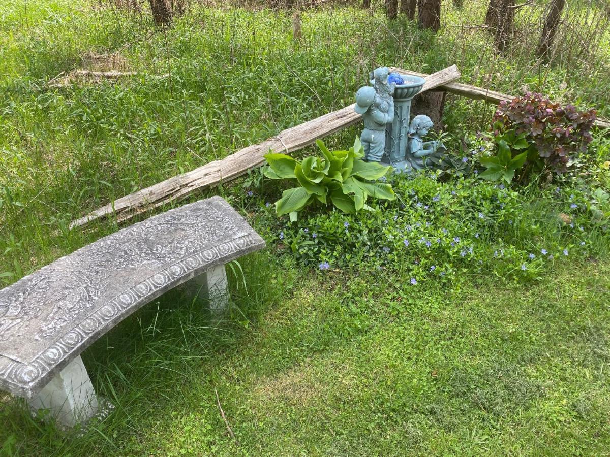 Dreamers Writing Farm, 3 Wooded Acres, Hepworth Sauble Beach Exteriör bild