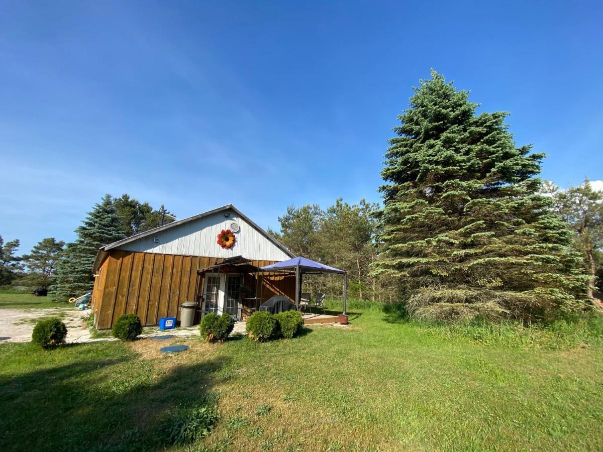 Dreamers Writing Farm, 3 Wooded Acres, Hepworth Sauble Beach Exteriör bild