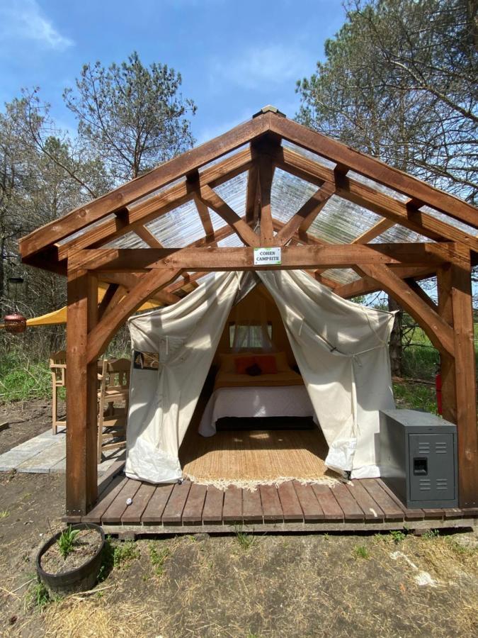 Dreamers Writing Farm, 3 Wooded Acres, Hepworth Sauble Beach Exteriör bild