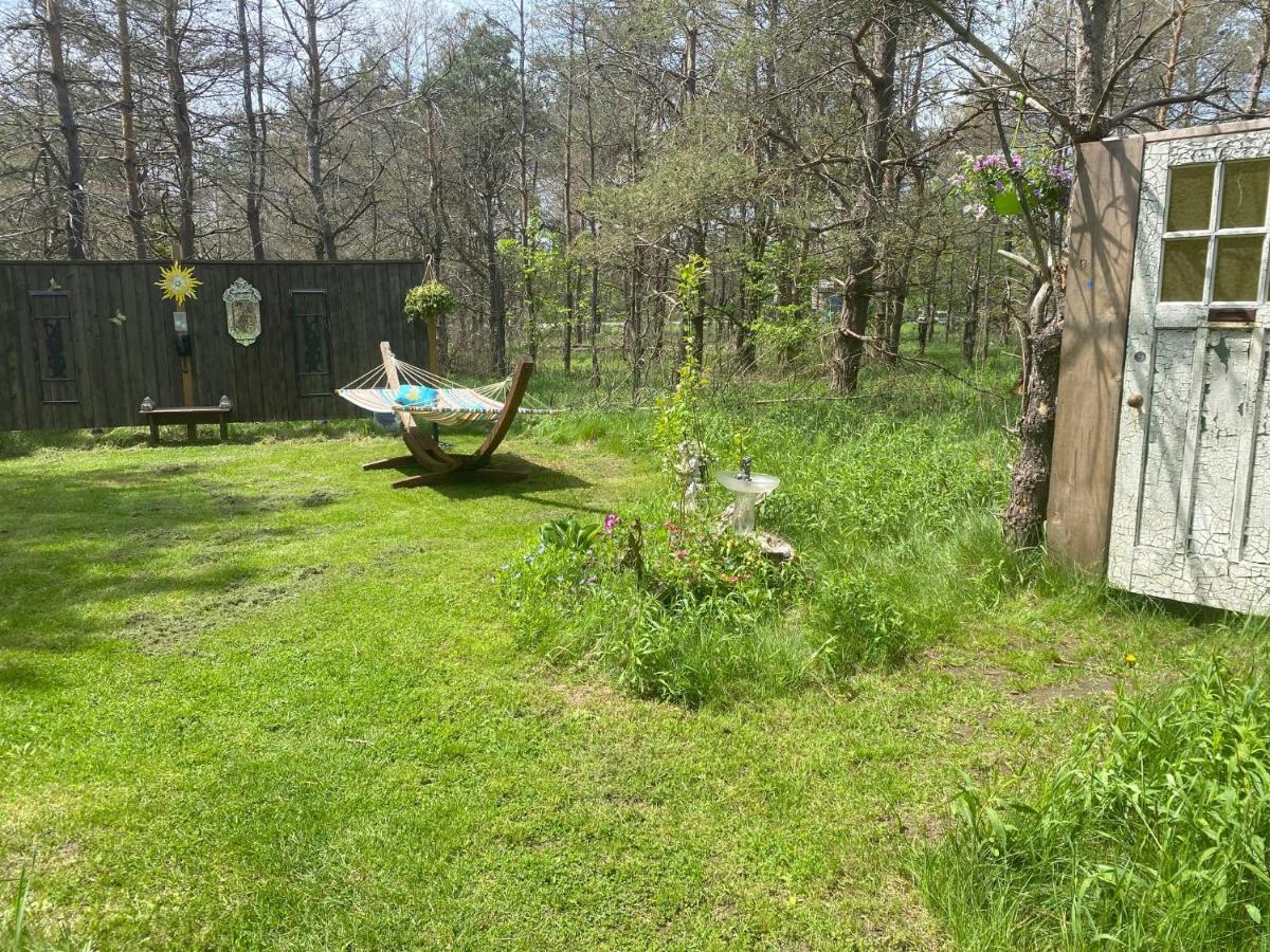 Dreamers Writing Farm, 3 Wooded Acres, Hepworth Sauble Beach Exteriör bild