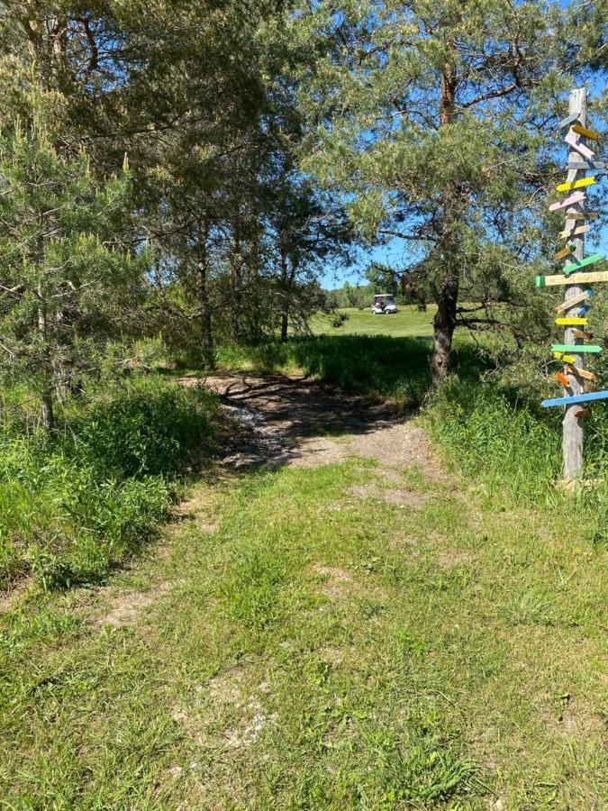 Dreamers Writing Farm, 3 Wooded Acres, Hepworth Sauble Beach Exteriör bild