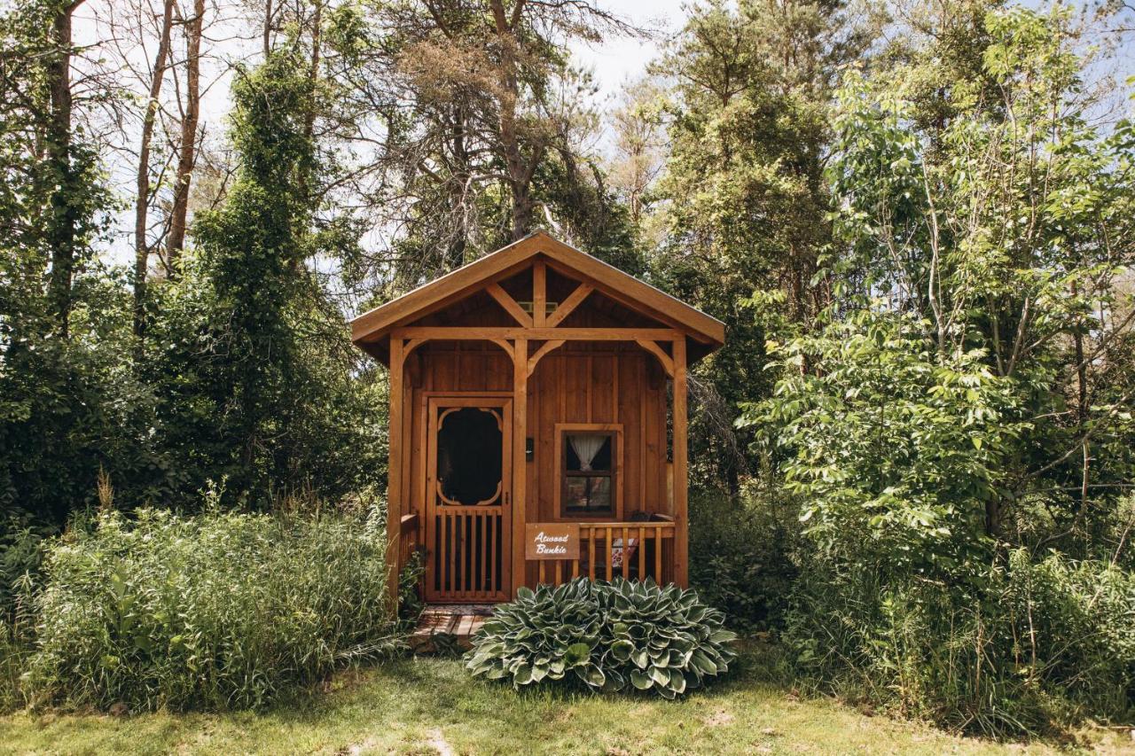Dreamers Writing Farm, 3 Wooded Acres, Hepworth Sauble Beach Exteriör bild